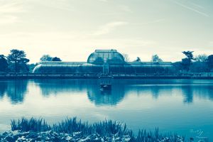 Cyanotape styled photo from Kew Gardens